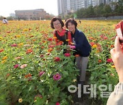 완연한 가을 속…일교차 15도 내외로 커[내일날씨]