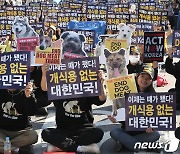 '이제는 개식용 없는 대한민국'