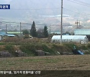 “70년 만에 내 땅이 됩니다”…양구 무주지 매각 본격