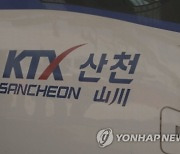 서울행 KTX-산천, 동물 접촉 비상 정지