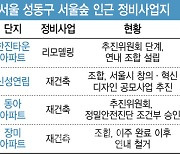 서울숲·한강 품은 성수동 정비사업 급물살