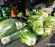 절임배추 등 단순처리 농수산물업체 260곳 11월 한 달간 위생점검