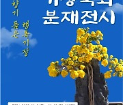 부신 기장군, ‘제7회 국화분재 전시회’ 개최