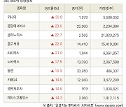 [fnRASSI]장마감, 코스닥 상승 종목(위니아 30.0% ↑)