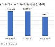 금융지주 카드, 3분기 순익 1조 밑돌아…3년 만에 최악