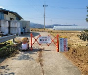 창원 한우농장서 럼피스킨병 의심 신고 '양성' 확인…경남도 첫 발생