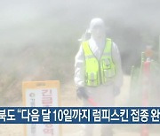 경북도 “다음 달 10일까지 럼피스킨 접종 완료”