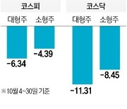 10월 조정장, 중소형株가 더 잘 버텼다