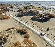 CHINA-INNER MONGOLIA-EJINA BANNER-DESERT-PLANTER (CN)