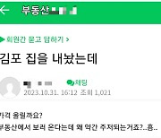 [땅땅땅] '서울시 김포구' 추진에 부동산 들썩?…"선거용일 뿐 매수 문의 없다"