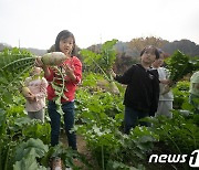 무 수확 체험하는 어린이들