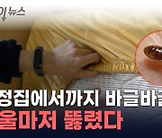 이제 한국도 청정국 아닌가...서울까지 '빈대 습격' [지금이뉴스]