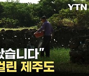 [자막뉴스] '비상' 걸린 제주도...'이상기후'에 심상치 않은 상황