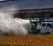 “청정지역 사수하라”...전국 최대 소 사육지 경북도 럼피스킨병 백신 접종