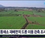 월동채소 재배면적 드론 이용 관측  조사