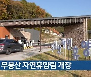 화성 무봉산 자연휴양림 개장