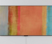 LG무선OLED TV·케이캡정 … 올해 산업을 이끈 K기술 14선