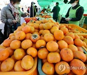 가을단감 좋아하는데 침만 ‘꿀꺽’…값 작년보다 30% 더 올랐다