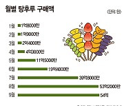 탕후루 구매 5개월 사이 12배 늘었다 [데이터로 보는 세상]