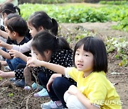 '이게 고구마군요'