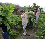 '영차, 내가 뽑은 무 들고'