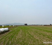 여주시, 양질 조사료 자급으로 축산농가 경쟁력 키운다