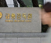 금감원, 주요 글로벌 IB 공매도 전수조사