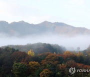 출근길 짙은 안개 주의…오전 수도권 미세먼지 '나쁨'