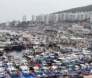 여수시 국동항 건설공사 기재부 예비타당성 조사 통과