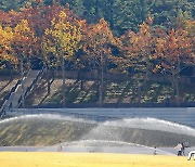 아침에 충북·남부 짙은 안개…서울·경기 오전에 미세먼지 '나쁨' [내일날씨]