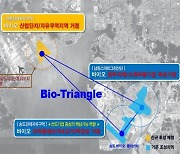 '바이오 특화단지' 유치 도전 인천…송도-영종-남동산단 '바이오 트라이앵글' 구축