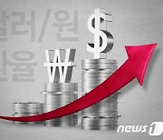 원·달러 환율 2.5원 오른 1353.0원 개장