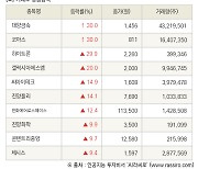 [fnRASSI]장마감, 거래소 상승 종목(대양금속 30.0% ↑)