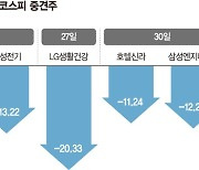 약세장에 실적마저… 코스피 급락 종목 속출