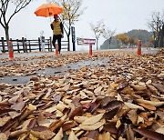 수도권 미세먼지 나쁨… 주말까지 전국 가을비