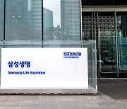 “보험주, IFRS17 결산 실적 발표 후 재평가…추가 조정시 적극 매수” [투자360]