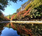 순창군 "어서 오세요… 11월 첫째 주말 강천산 단풍 절정"