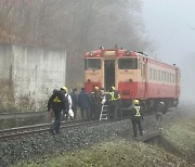 한밤중 곰과 부딪힌 日 열차 ‘공포의 7시간’…구조대 오기까지 뜬눈으로 밤새운 승객들