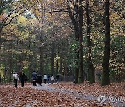 [날씨] 포근한 가을…서울 낮 최고 24도