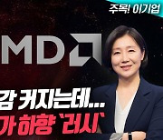 AMD, AI칩 기대에도 월가 목표가 하향 ‘러시’…왜 (영상)