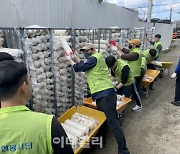 [포토] 농협경제지주 임직원, 농가 일손돕기