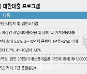 '종노릇' 소상공인이 외면하는 '저금리 대환대출'…안하나 못하나