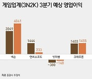 '3N2K' 3분기 실적도 우울…넥슨만 또 '두 자릿수' 성장