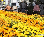 새벽부터 중부 최대 20㎜ 비…수도권 미세먼지 '나쁨' [내일날씨]