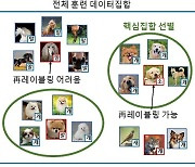 KAIST, 인공지능 챗봇 이미지 데이터 훈련 비용 최소화 기술 개발