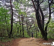 울산 북구, 신천공원에 1.3km 맨발산책로 조성