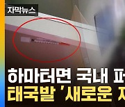 [자막뉴스] 출국하려다 붙잡힌 외국인들...'무서운 가루' 韓에 들고 왔다