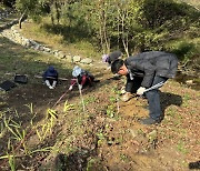 멸종위기 식물 식재·복원