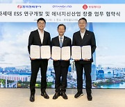 한전·롯데케미칼 등 `불 안 나는` 차세대 ESS 만든다