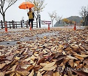 [내일 날씨] 중부 돌풍과 천둥·번개 동반한 비…일부 우박도